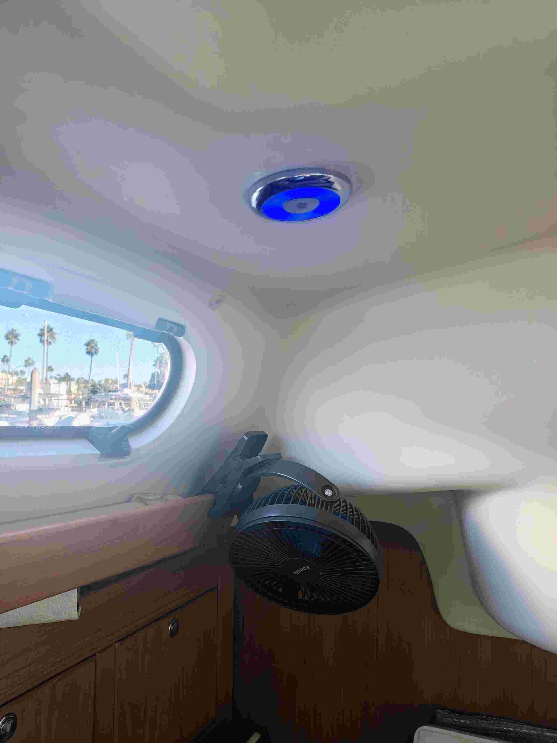 blue light.jpg