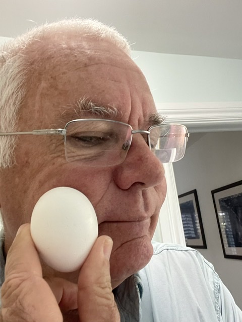 Egg