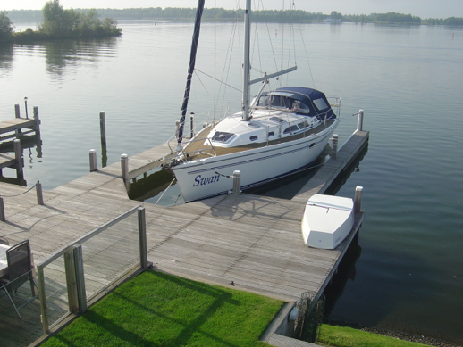Swan, Ermelo, Netherlands